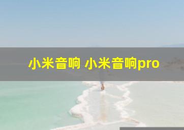 小米音响 小米音响pro